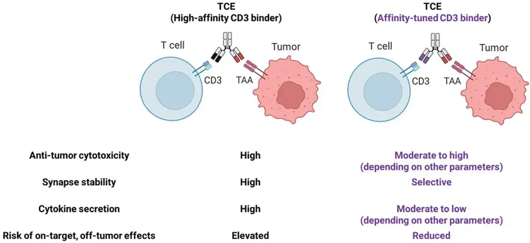 T细胞衔接器中CD3结合域设计 - 知乎