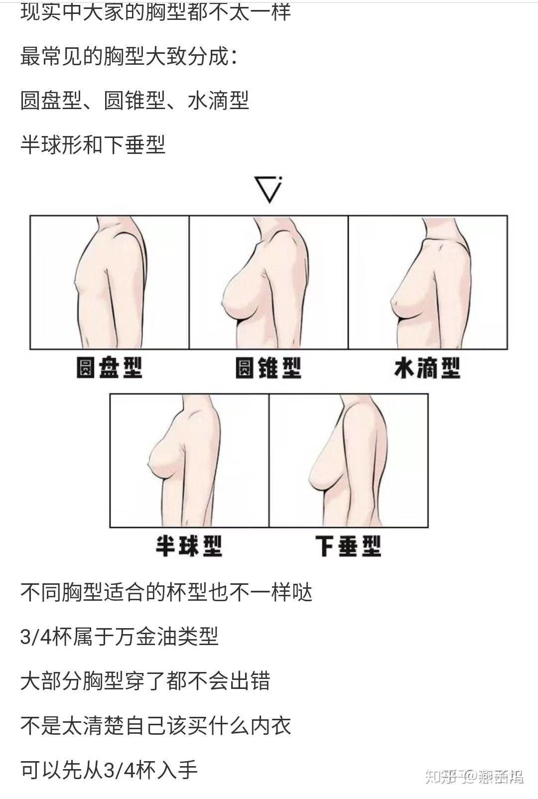 内衣买罩杯大了怎么办_d罩杯(3)