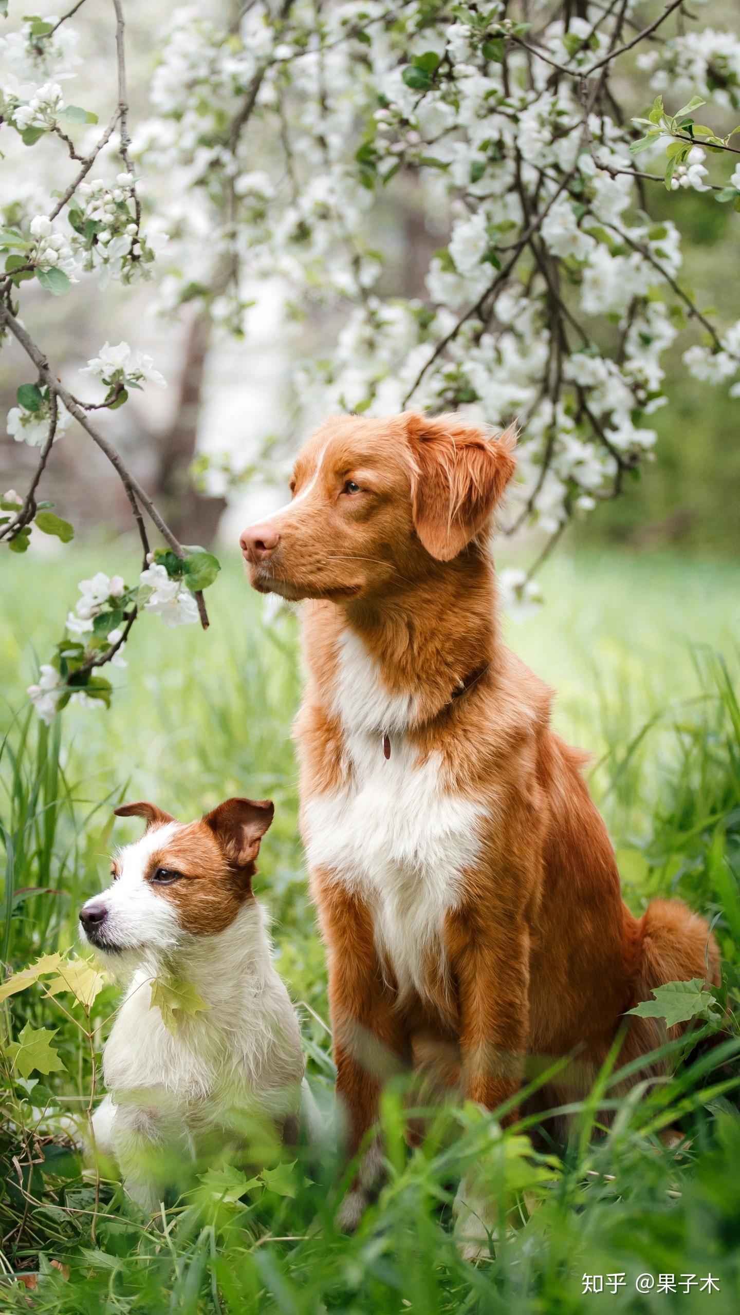 人要学会独处,独自生活…… 知乎