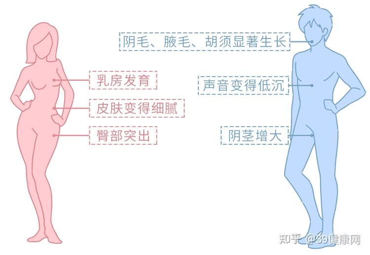 男生怎么才可以有喉结 v2-6e9265120b21769d28ead7a89e0906af_r.jpg