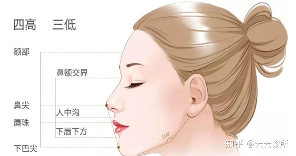 面部美学有哪些技巧 - 知乎