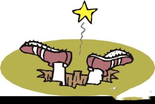 货代人别掉坑里了