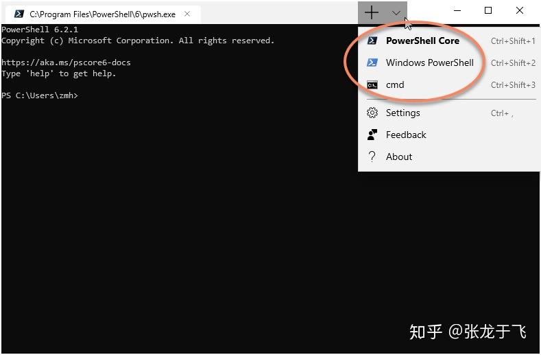 Windows10 powershell windows terminal 