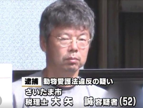 他残忍虐待13只猫 却只被判刑1年10个月 知乎