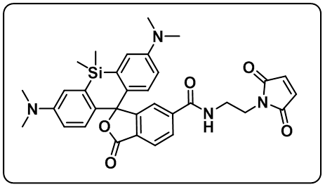 相关产品:5-hmsir-hochesthochest-sirsir-alkynesir-azidesir-bcnsir