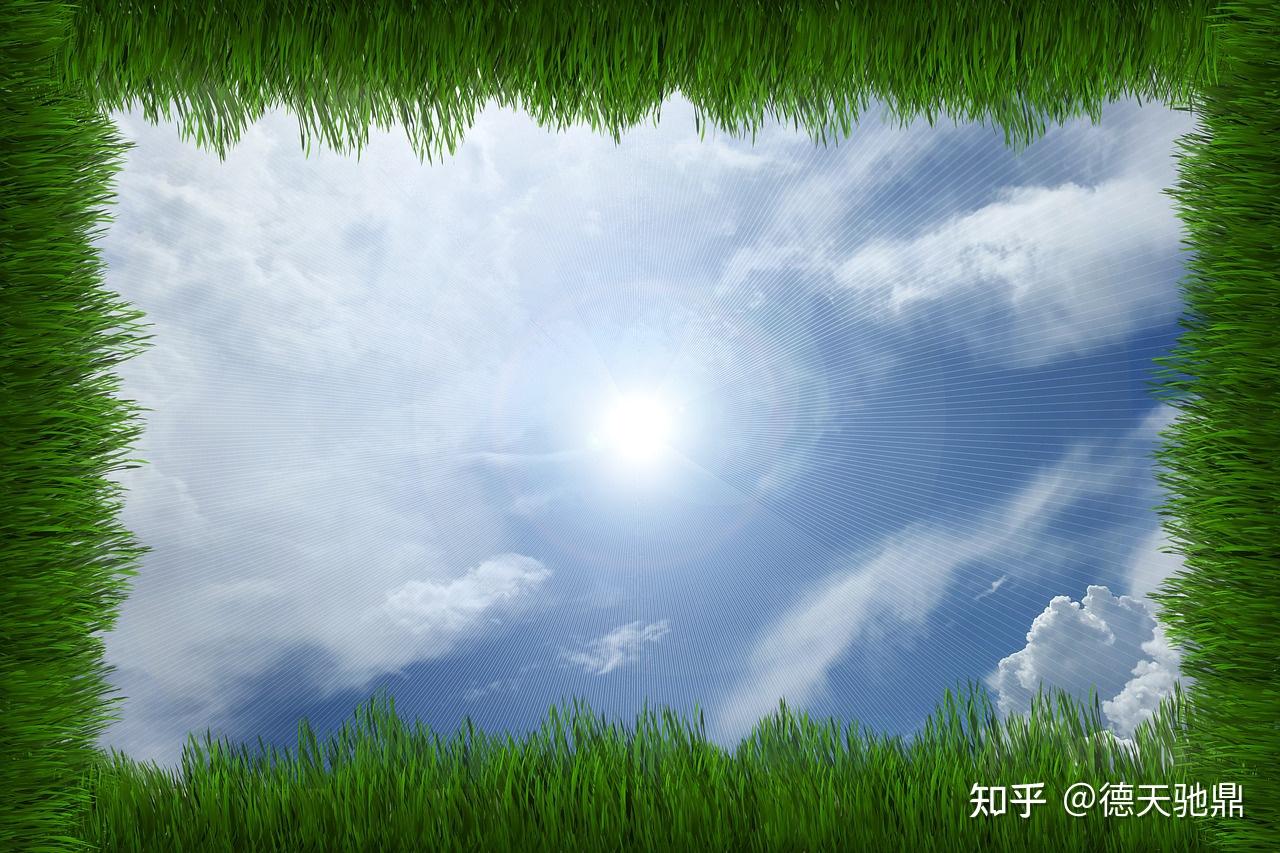 光照强度的有效监测助植物成长 - 知乎