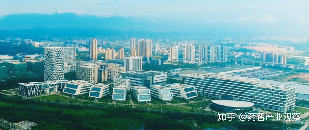 2024年深圳市生物医药产业发展梳理 - 知乎