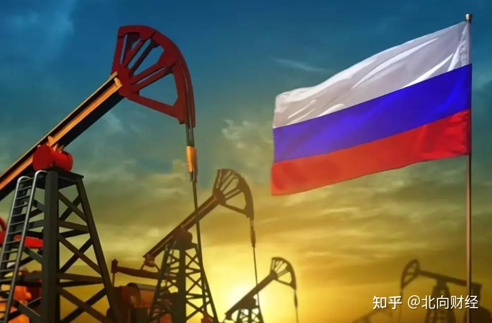 俄罗斯石油,印度"接盘"