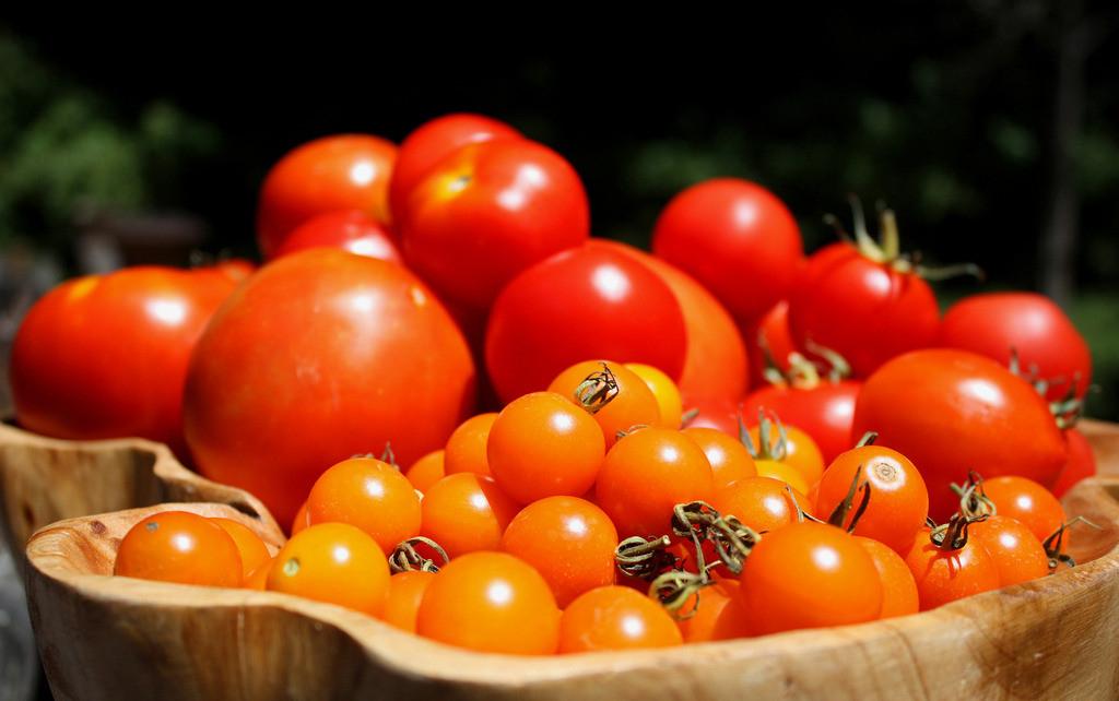 洋柿子好吃但不可贪多呦