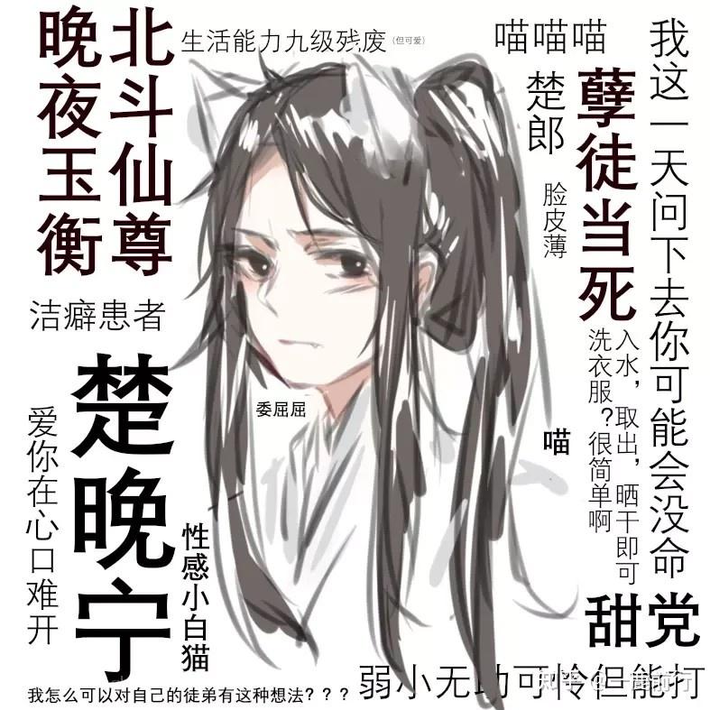 耽美推文二哈和他的白猫师尊墨燃楚晚宁