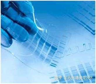 不会吧,蛋白质染色你还在用考马斯亮蓝? - 知乎