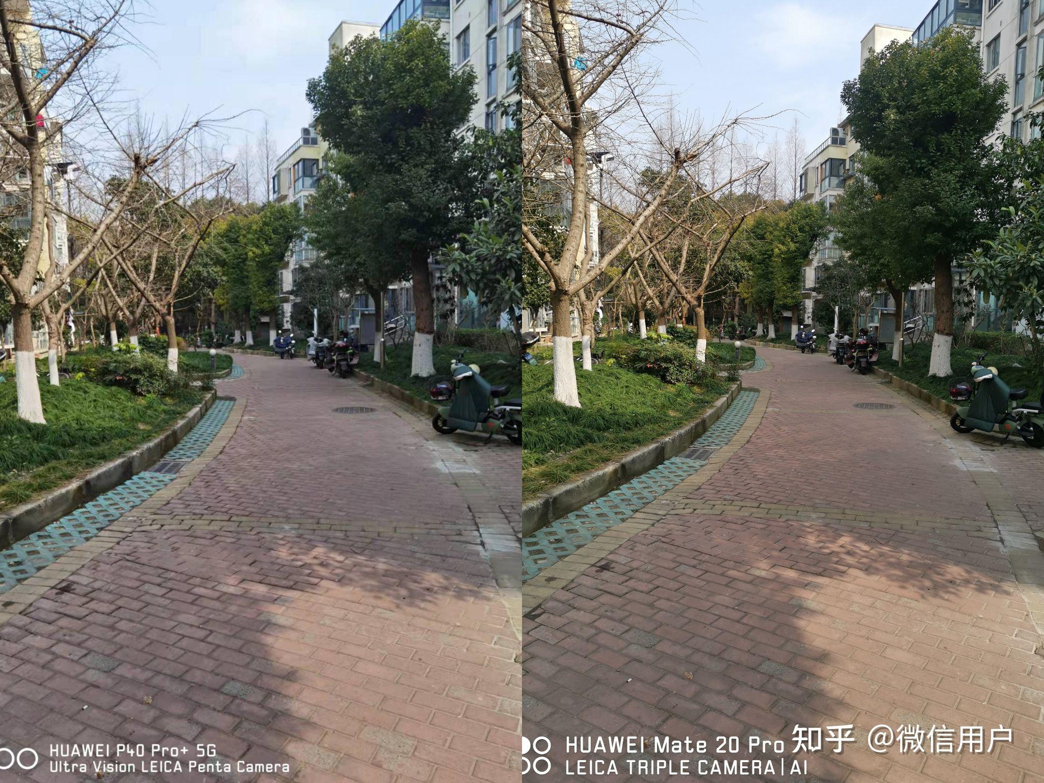 华为p40pro和mate20pro拍照对比