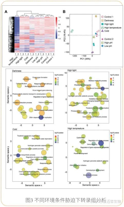 基因组与转录组，深入挖掘基因表达信息--01 - 知乎
