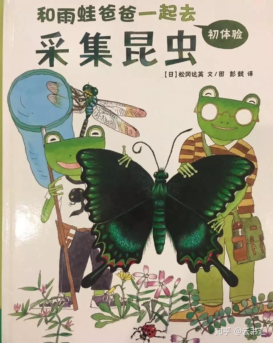 紋小寶推薦自然智能繪本書單走進奇妙的昆蟲世界