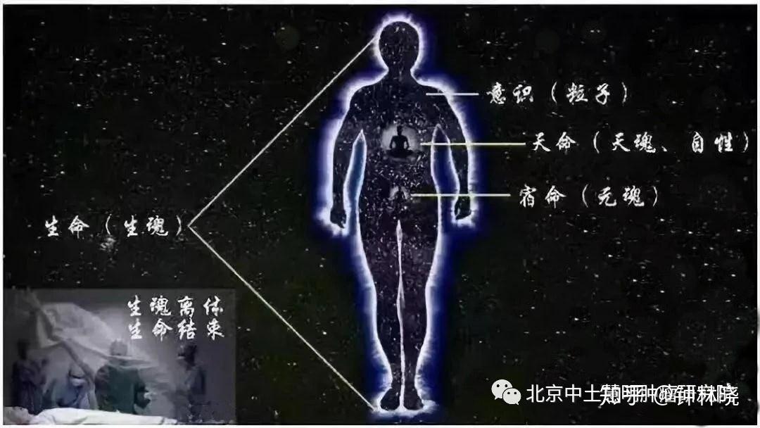 人体讲三魂七魄,七魄为精负责七情,主控物质的肉体,三魂为神,主宰人的