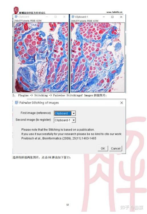 ImageJ如何做出高颜值SCI配图？看完直接冲上5分+！（附实用插件） - 知乎