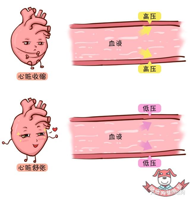 高血压认知2 高血压认知2