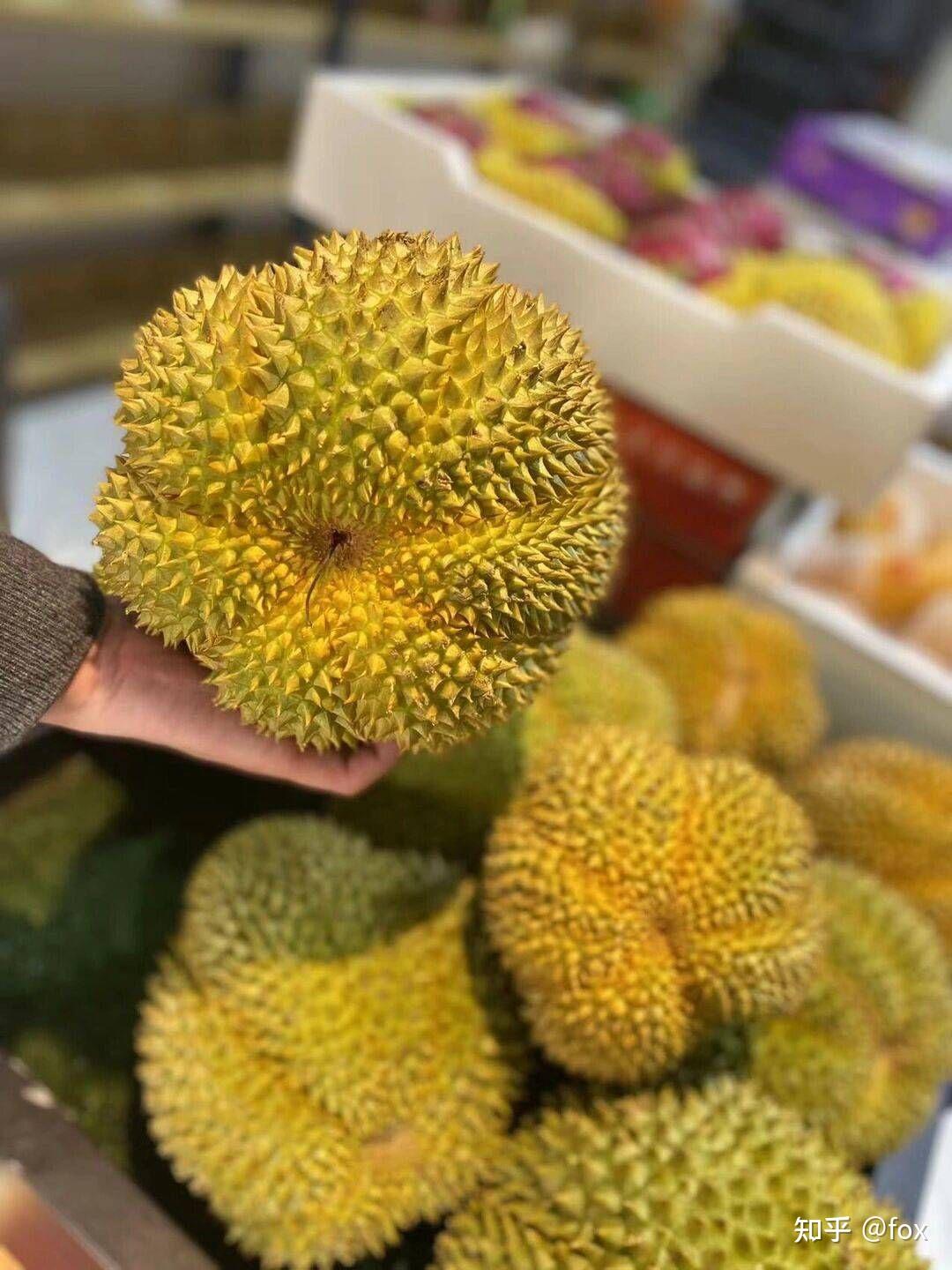 甲仑榴莲非常特别