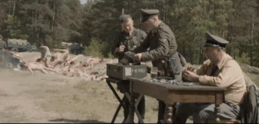 如何评价波兰电影《沃伦》?