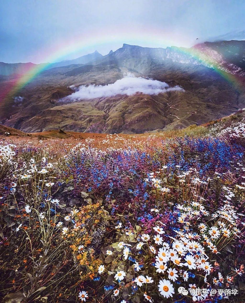 致敬2021年不确定的世界里寻找美好