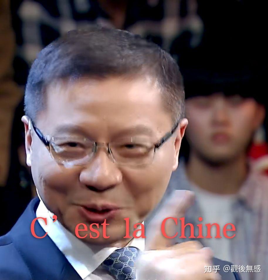 张维为(这就是中国)的节目,你怎么看? - 知乎