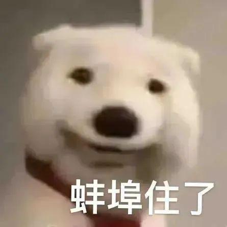 500张最近热门的表情包!持续更新 - 知乎