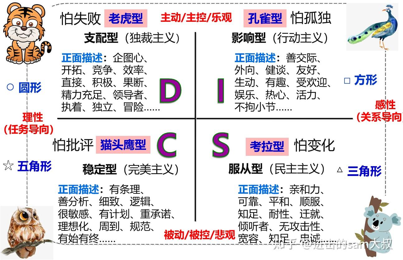 disc测试结果图解图片