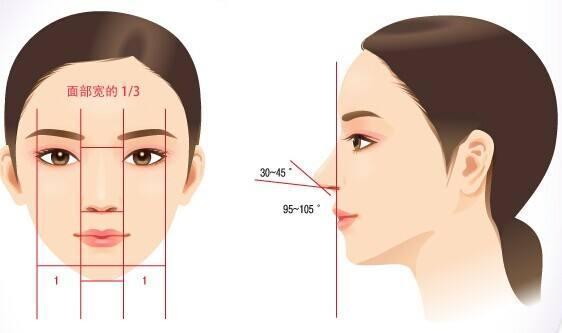 怎么拥有高粱鼻 v2-6f97813021a7ee731fb9ce82cd2e0771_1440w.jpg?source=172ae18b