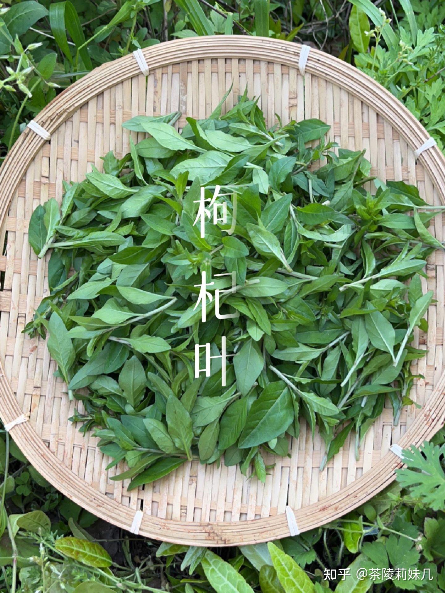 经常熬夜看手机,那你一定要多喝这个枸杞叶猪肝汤,简单营养又好喝! - 知乎
