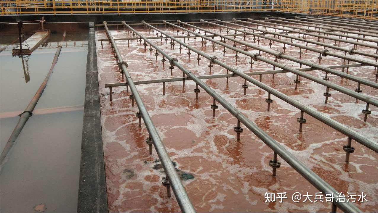 水解酸化工艺原理及应用