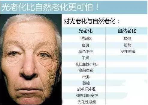 漂亮基因组学III:皮肤老化,以及亚洲人不显老的秘密? - 知乎