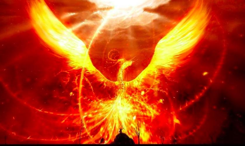 别怕每一次天劫都是浴火重生