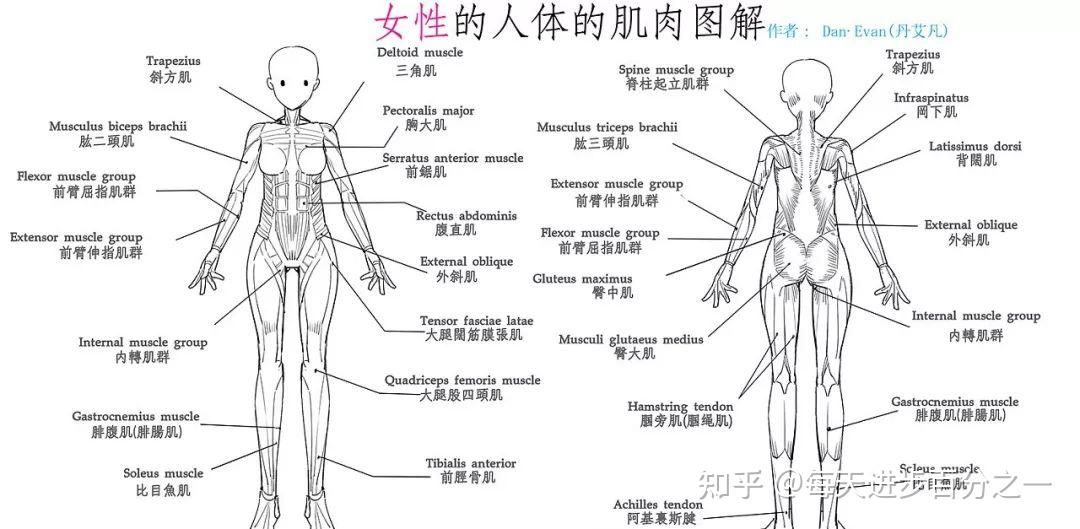 2.改良以往瘦身操,达到3种效果!3.为亚洲女性量身定制,享瘦停不下来!