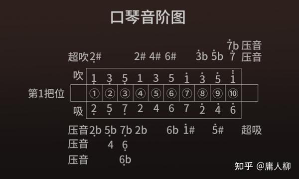 口琴选购攻略指南:口琴怎么学,口琴哪种好学(入门到进阶口琴推荐) - 知乎
