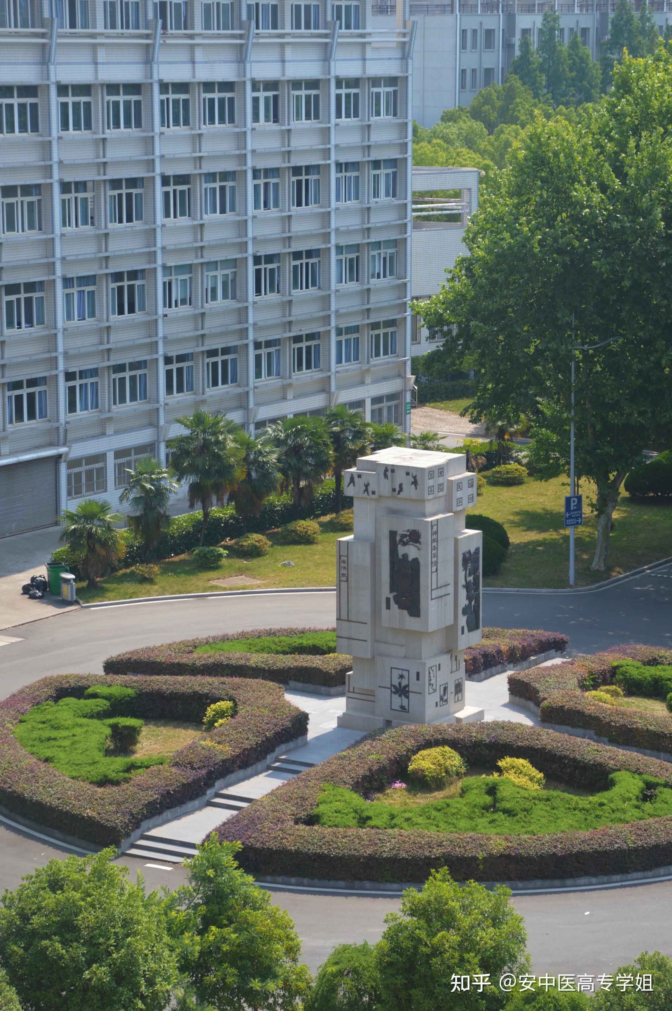 安徽中医药高等专科学校 - 知乎