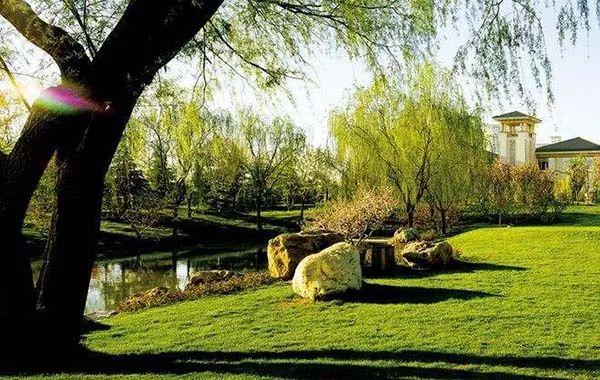 配置时,可选用高大乔木,加宽株距,用树冠来构成透景面,如在花港观鱼