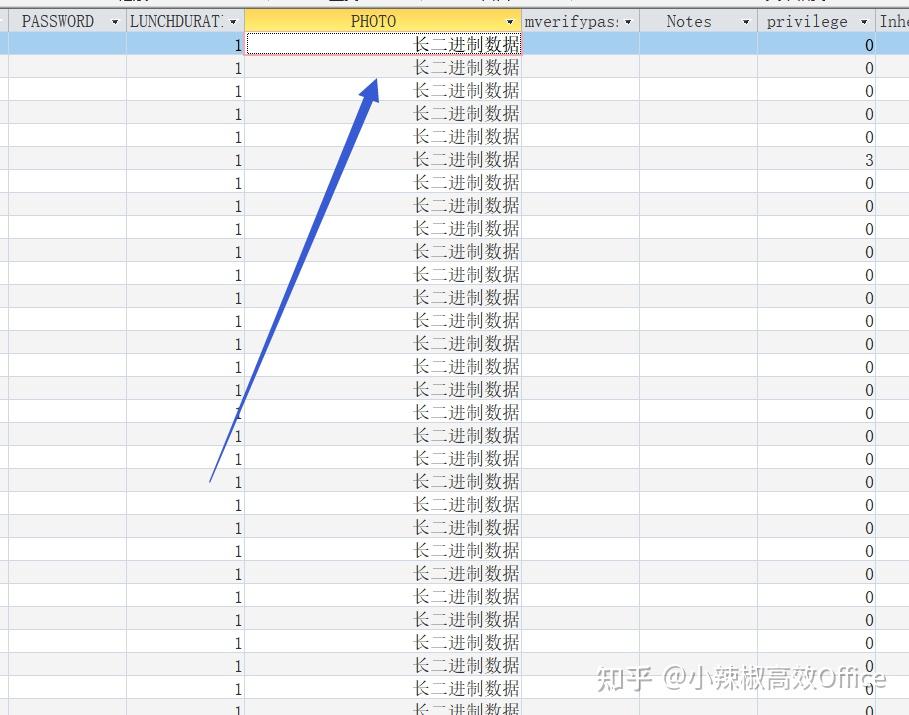 Access vba ole binary ole ole 