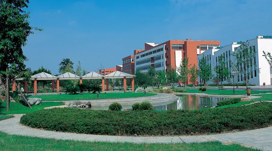 西南民族大学2020年艺术类专业招生简章