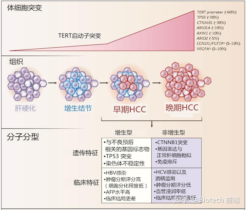 从基础到进阶