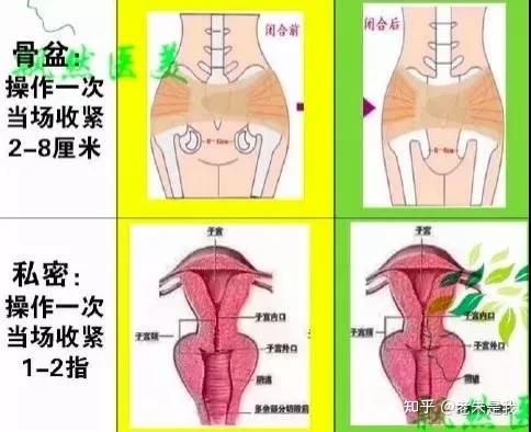 女人迷恋的徒手缩阴术到底有多可怕?