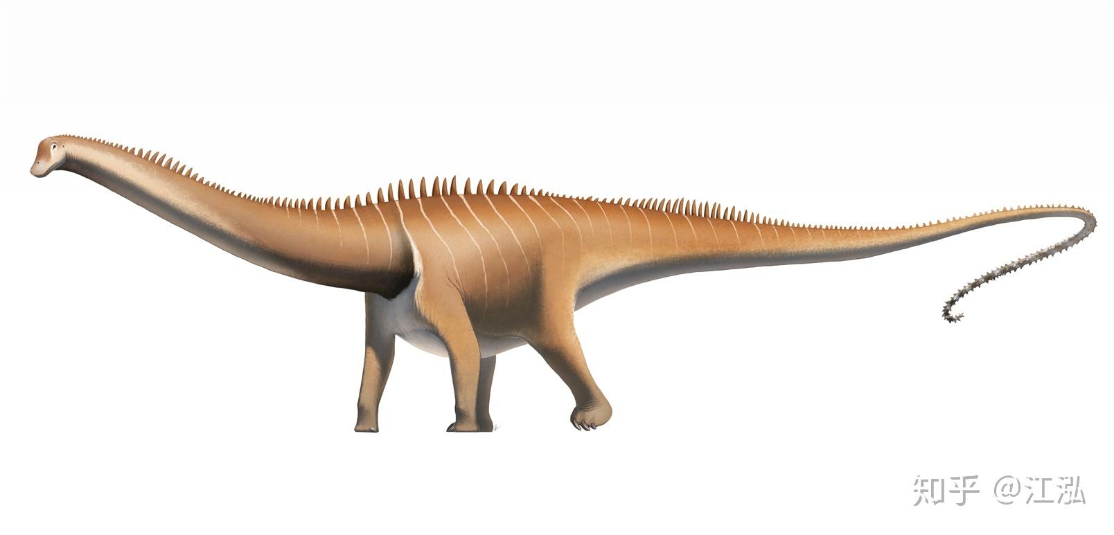 五岁小梁龙的头骨化石揭秘史前巨龙食性的改变