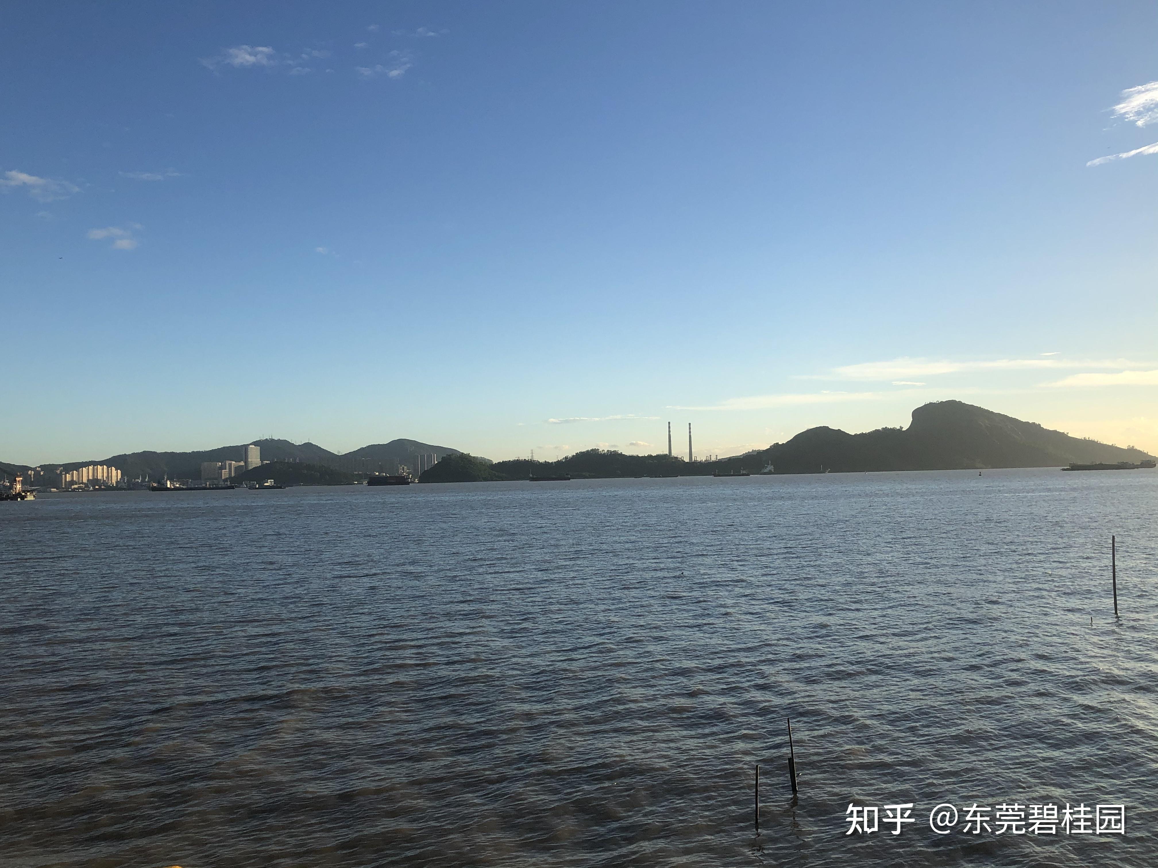 沙田碧桂园狮子洋生活当在狮子洋