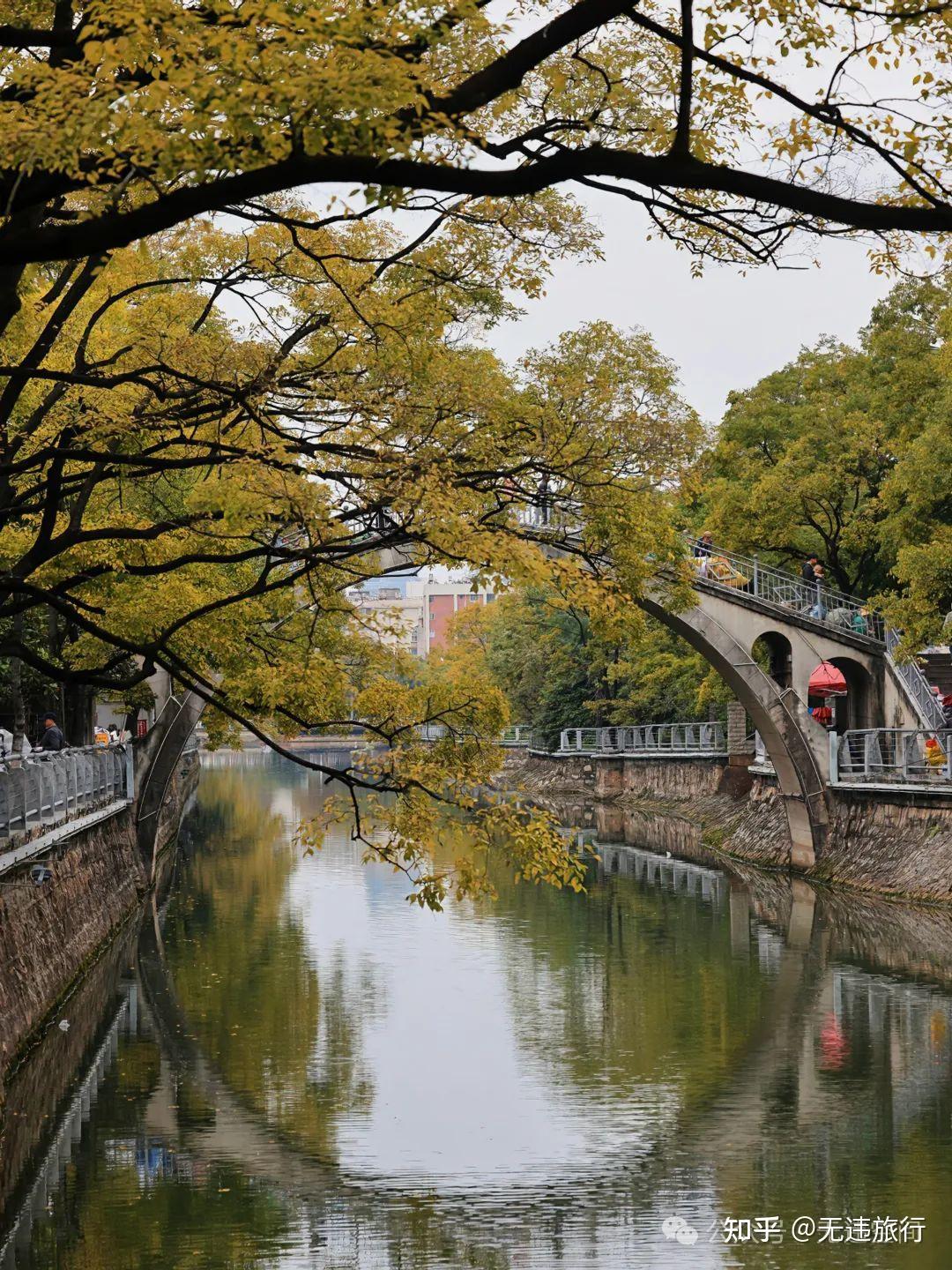 昆明滇朴披金:大观河风景独好!(附美图) - 知乎