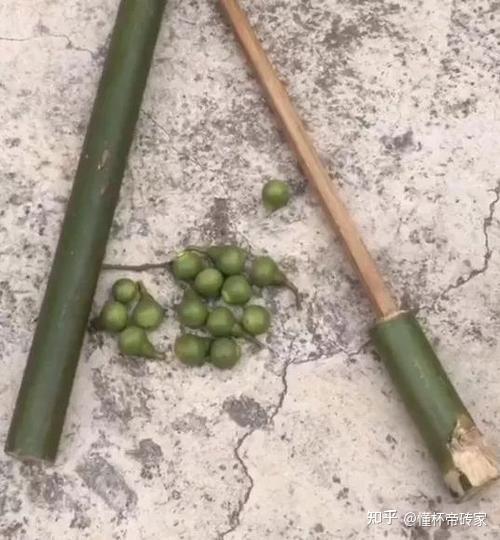 童年回忆来袭!大家还记得儿时和伙伴一起玩过的经典小游戏吗?长大了玩YUU热热子 - 知乎