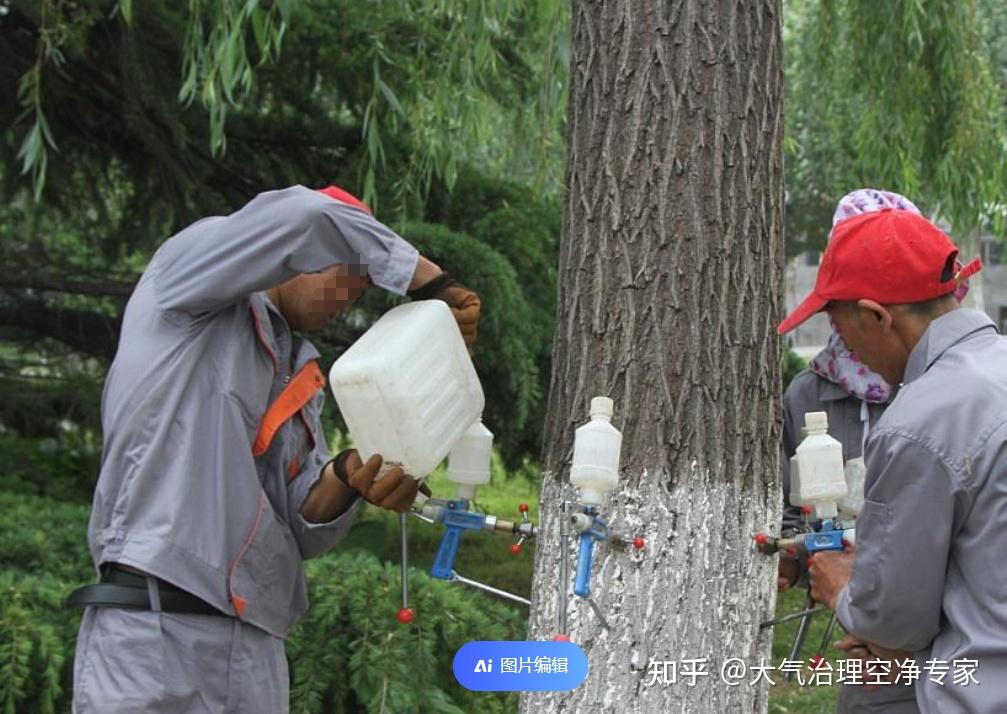 杨絮柳絮的治理方法有哪些? - 知乎