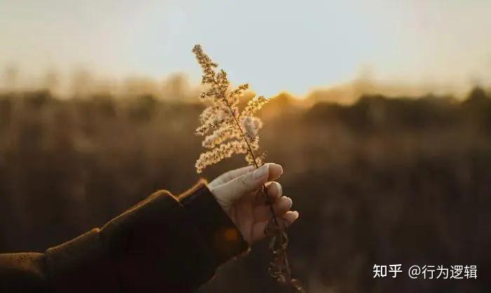 如何解决“困顿之苦”？ - 知乎