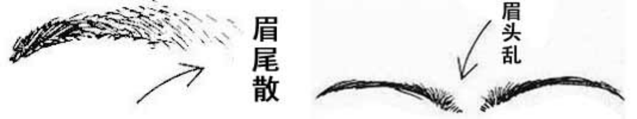 面相入门--五官细谈之“眉毛” - 知乎