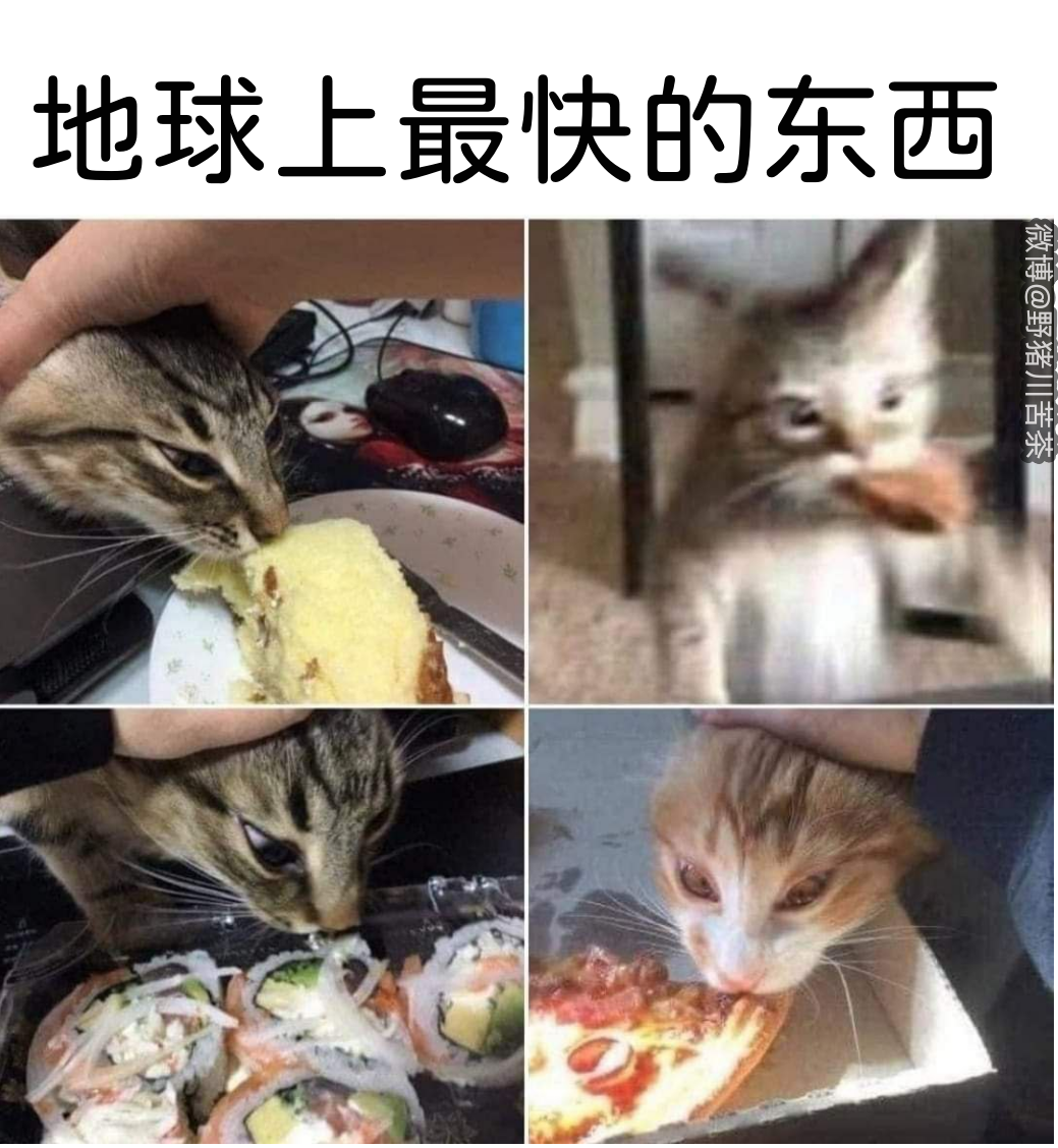沙雕搞笑迷因梗图meme - 知乎
