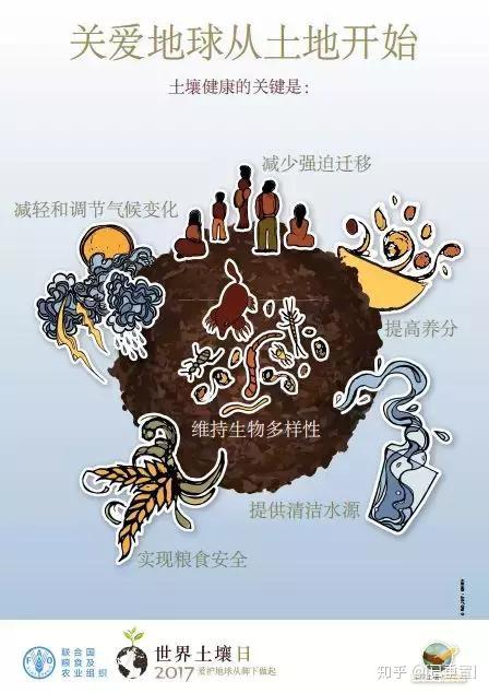 土壤在碳吸收及过滤水方面起到十分关键的作用.