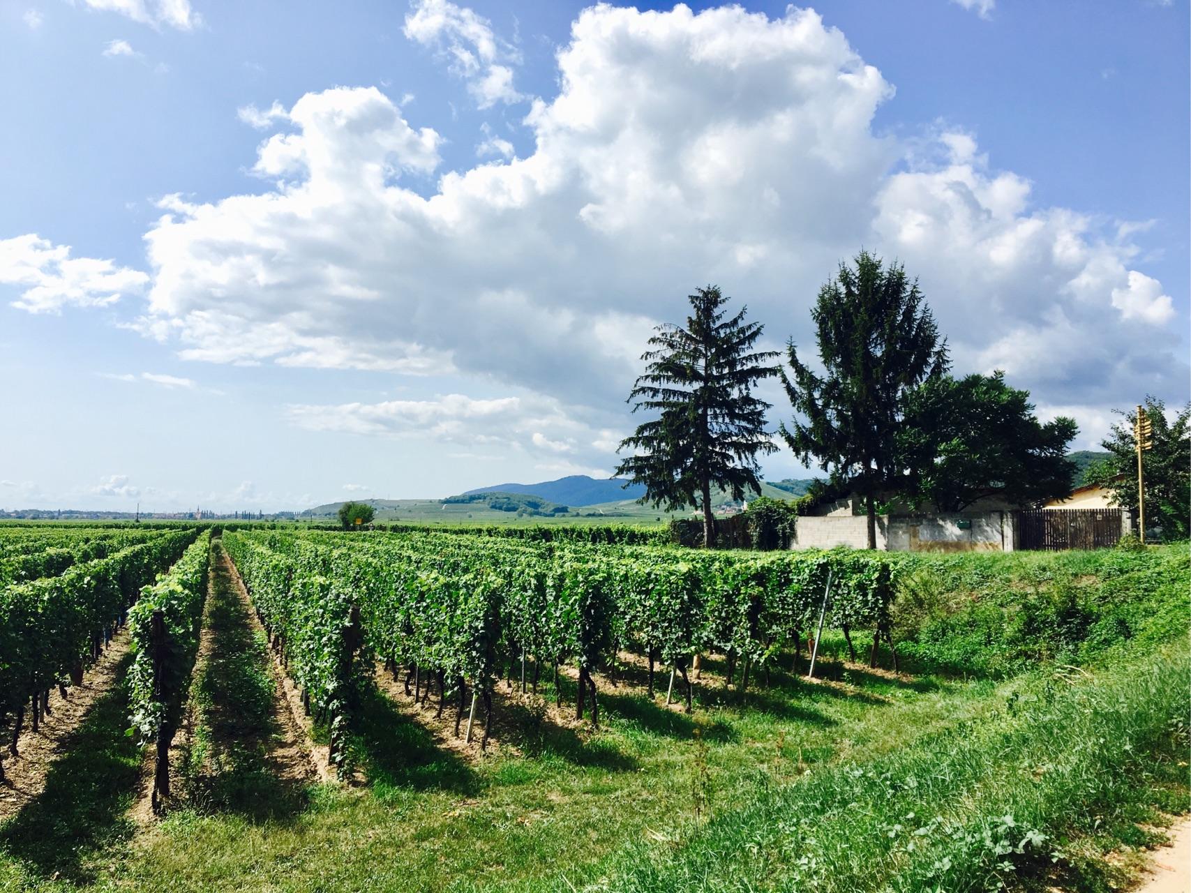 欧洲有哪些小城市值得一去?